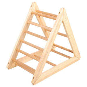 Little Gym Triangle Ladder