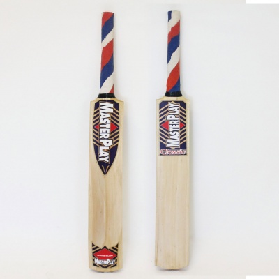 Masterplay Cricket Bat