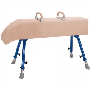 School Gym Sloping Neck Vaulting Horse