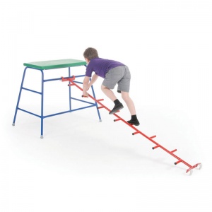 School Gym Linking Cat Ladder 2.13m