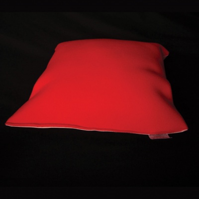 Glo Cushion Red with Squeak