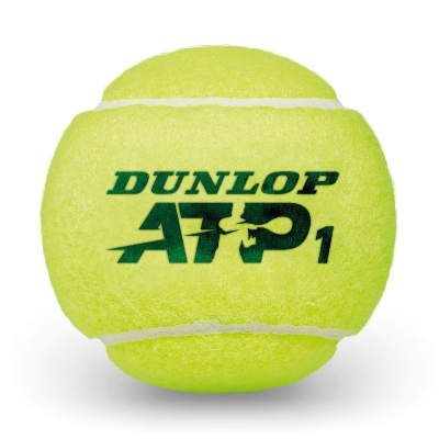 Dunlop ATP Championship Tennis Ball - Tube of 4