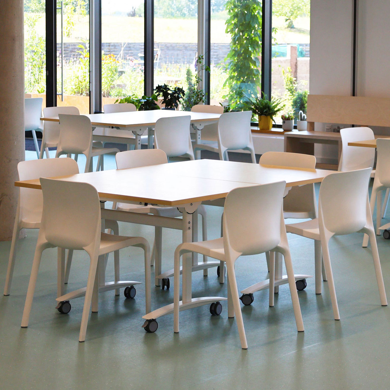 School Dining Chairs