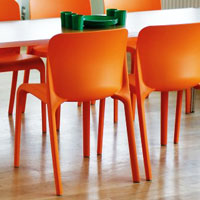 School Dining Chairs