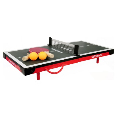 Butterfly Mini Table Tennis Table
