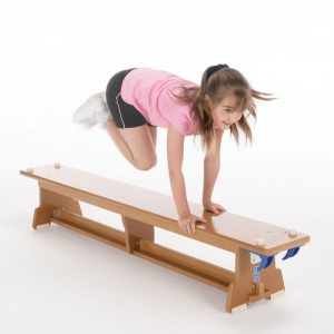 The Eurobench Wooden Gym Bench