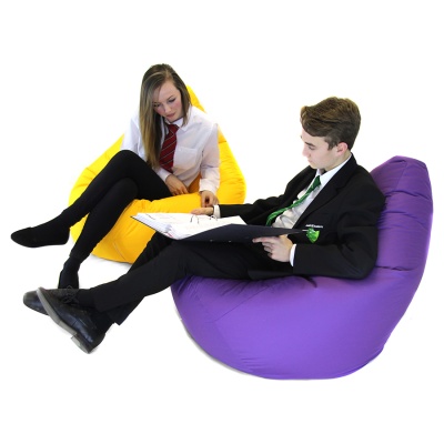 Secondary ''Bookworm'' Bean Bag