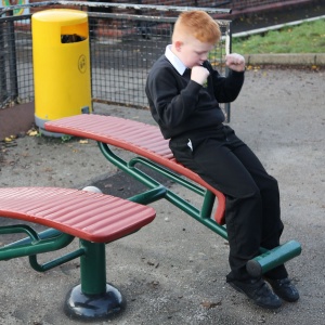 Outdoor Children's Gym Double Sit-Up Bench