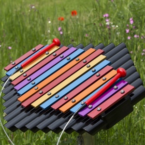 Outdoor Xylophone Sansa-Rimba