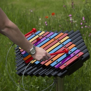 Outdoor Xylophone Sansa-Rimba