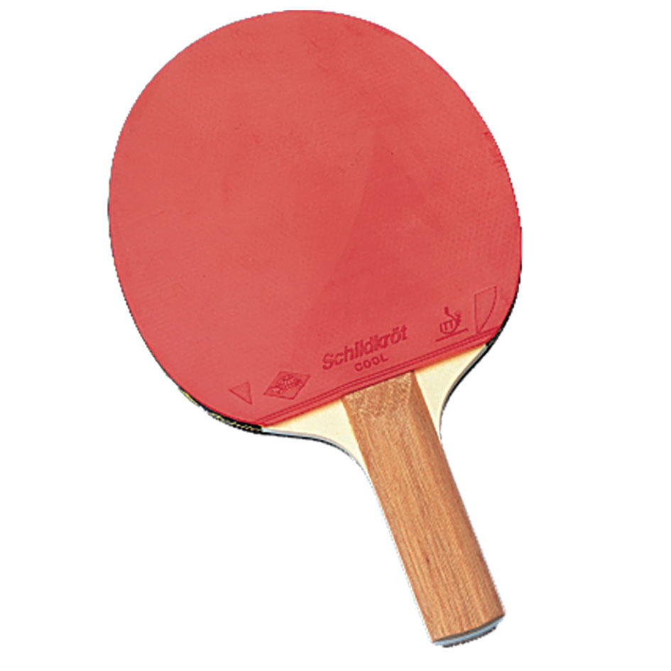 Lion Power Table Tennis Bat