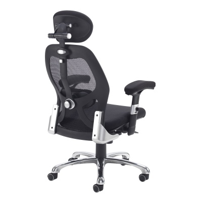 Sandro Mesh Back Executive Chair with Air Mesh Seat & Head Rest