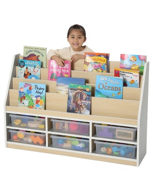 Thrifty 3 Compartment Book Storage + 6 Clear Trays